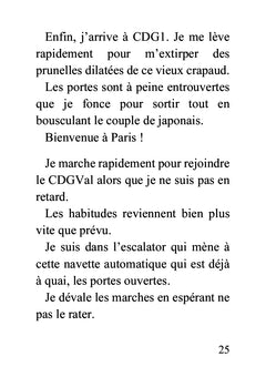 L'amant virtuel