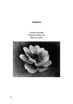Parfum d'amour
