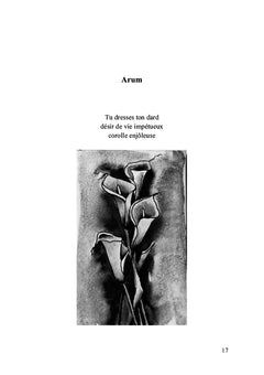 Parfum d'amour