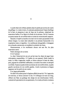 Arrêt à Ré