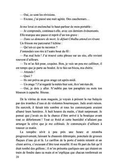 Chroniques d'outre-monde