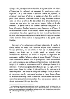 Déambulations en babouches jaunes