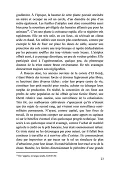 Déambulations en babouches jaunes