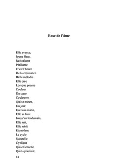 Le livre perdu