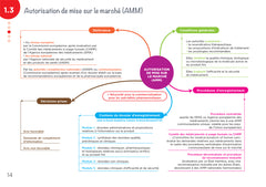 Diplôme infirmier - DEI - Cartes mentales - Pharmacologie