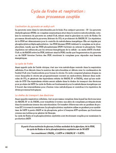 24 h au coeur du métabolisme