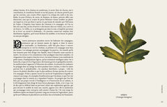 Maison rustique