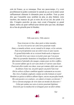 Le zèbre de cristal