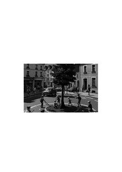 Les lueurs de la résilience