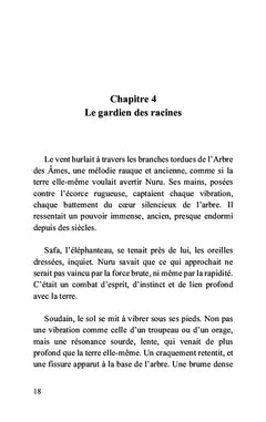 Nuru et le chant du vent