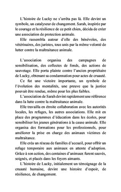 Au coeur de la violence