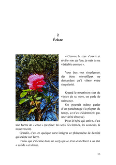 Coeur de Christ
