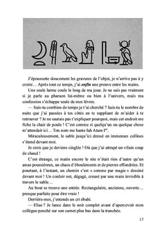 Chroniques d'une archéologue en galère