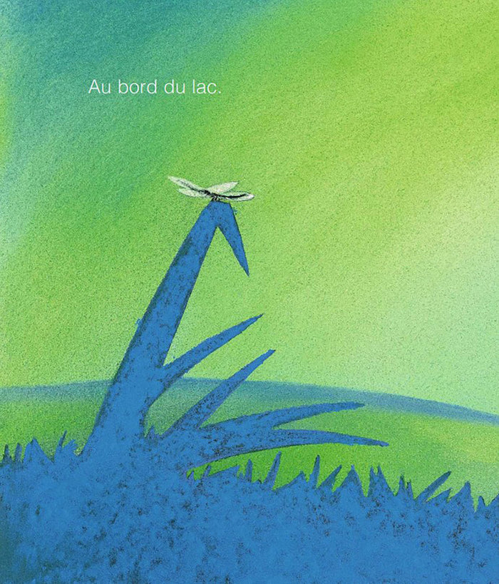 Albums coups de coeur - L'heure du bisou