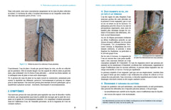 Humidité du bâtiment