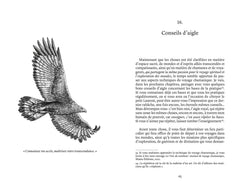 Amour, force & lumière, Le chamanisme expliqué par les esprits