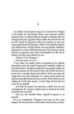 La Guerre des Ailes