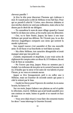 La Guerre des Ailes