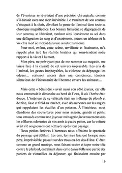 Entre ombres et lumières