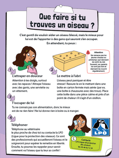 Mon Larousse de la nature