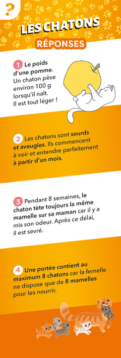 Les incollables - Éventail Passion - Les Chats