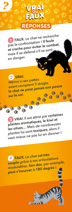 Les incollables - Éventail Passion - Les Chats