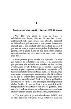À tire-d'ailes