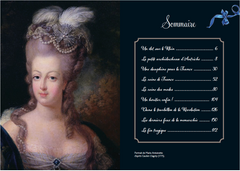 Iconique Marie-Antoinette
