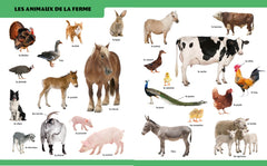 1000 mots - Un imagier photos