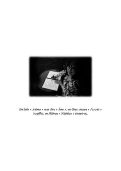 Anima : la mémoire retrouvée...