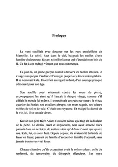 Les cendres de l'ombre