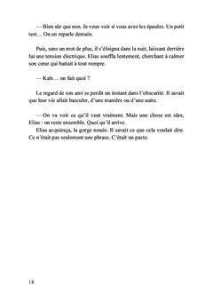 Les cendres de l'ombre