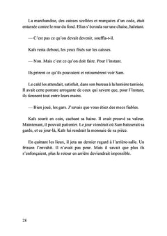 Les cendres de l'ombre