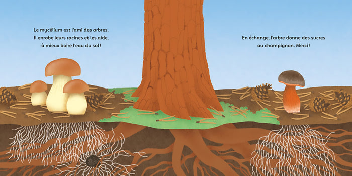 Les P'tits champignons