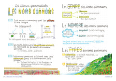 Le français en 100 fiches illustrées