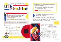 Le français en 100 fiches illustrées