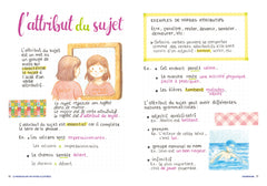 Le français en 100 fiches illustrées