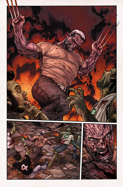 Old Man Logan