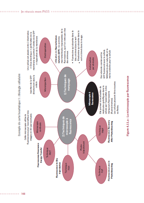 Je réussis mon PASS & ma LAS 2025-2026
