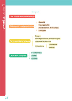 DCG 2 - Droit des affaires