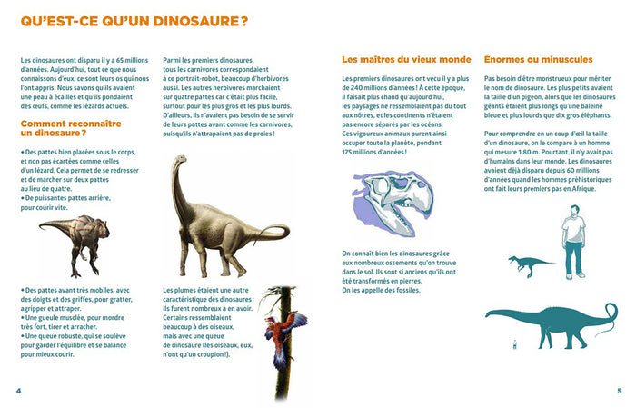 Le livre pour tout savoir sur les dinosaures le + facile du monde