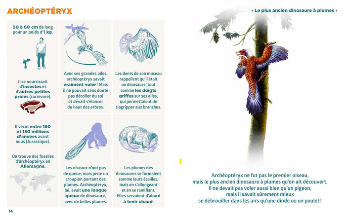 Le livre pour tout savoir sur les dinosaures le + facile du monde