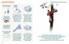 Le livre pour tout savoir sur les dinosaures le + facile du monde