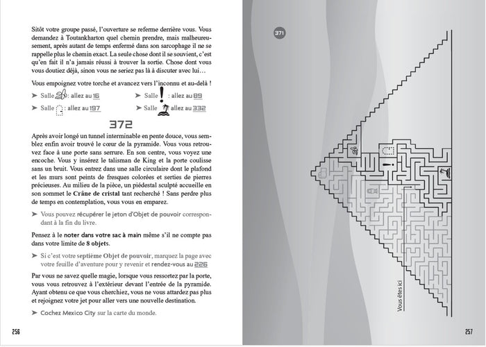 La Revanche des ombres