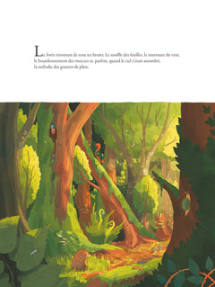 La route qui traverse la forêt