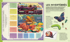Incroyables sciences