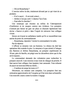 Le cygne noir