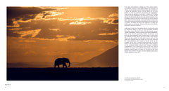 Sois humble et regarde