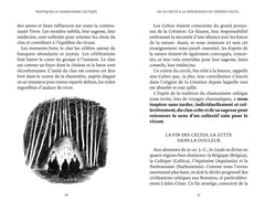 Pratiquer le chamanisme celtique