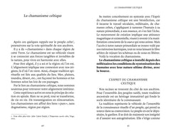 Pratiquer le chamanisme celtique